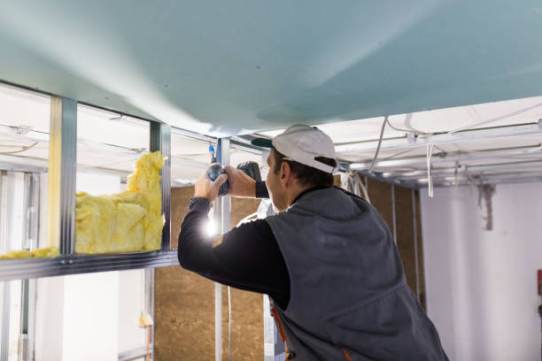 Best Local Insulation Services  in Fairview, TX