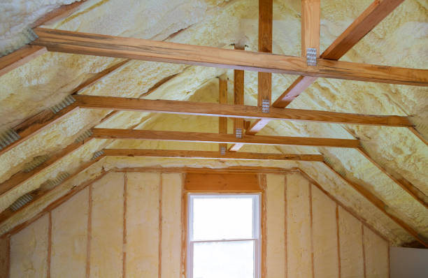 Best Attic Insulation Installation  in Fairview, TX