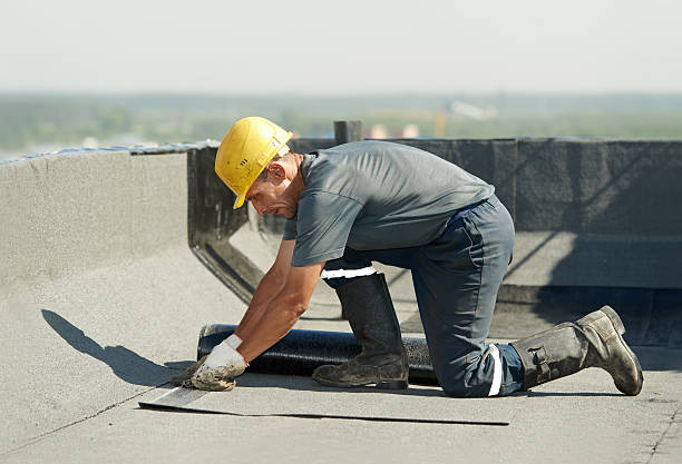 Best Insulation Removal  in Fairview, TX