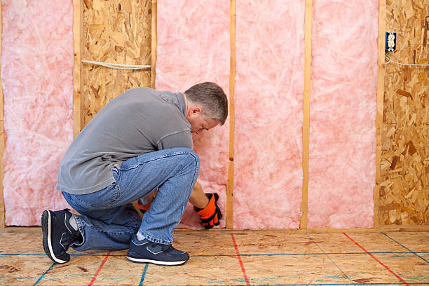Best Cellulose Insulation  in Fairview, TX